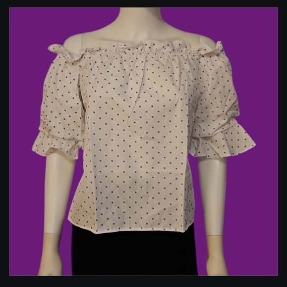ALYTHA Polka Dot Off Shoulder Cropped Puff Sleeve Gasparilla Castlecore Blouse - Picture 1 of 9
